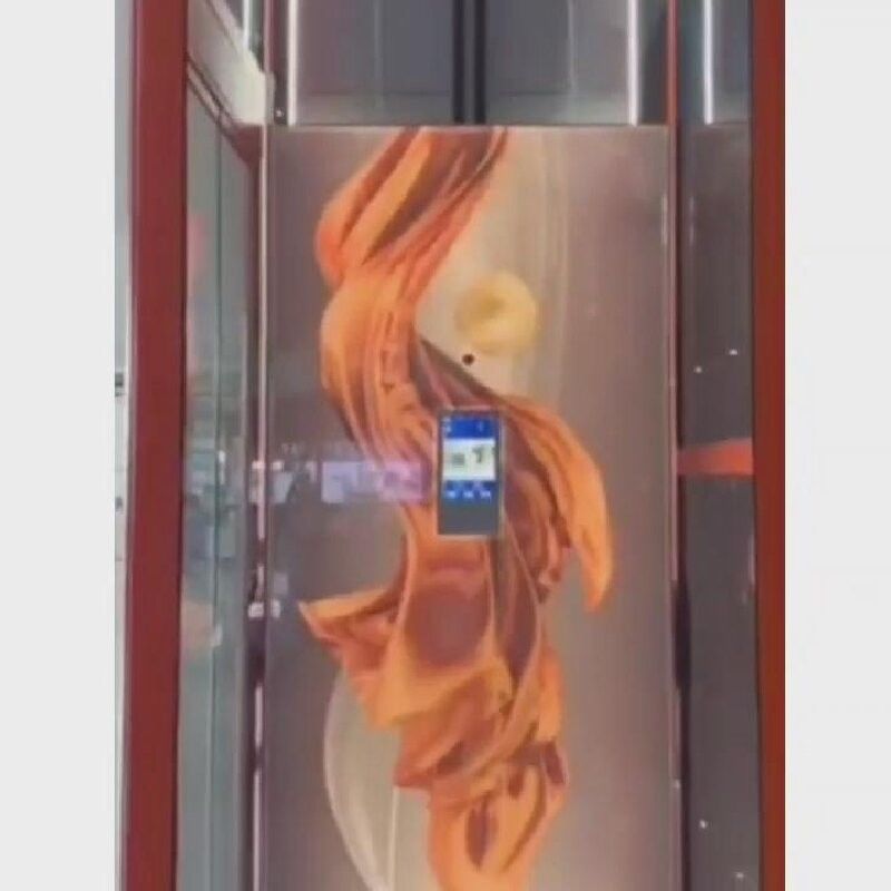 Ascenseurs résidentiels en acier inoxydable de petite taille 400 kg