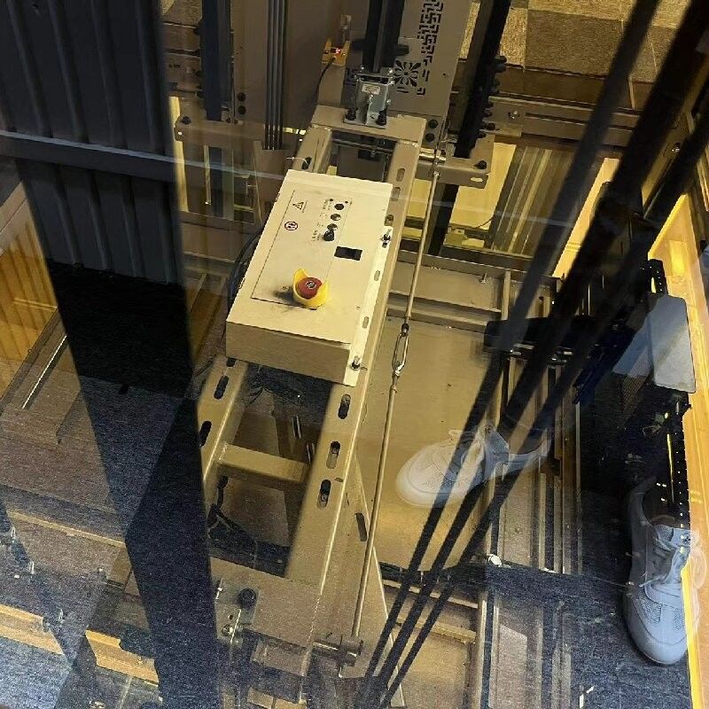 Élevateur de type traction de 60 dB 450 kg 500 kg Ascenseur résidentiel à traction