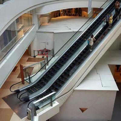 800 mm 1000 mm 1200 mm Largeur des marches Escalator Escalator plat Escalator en mouvement
