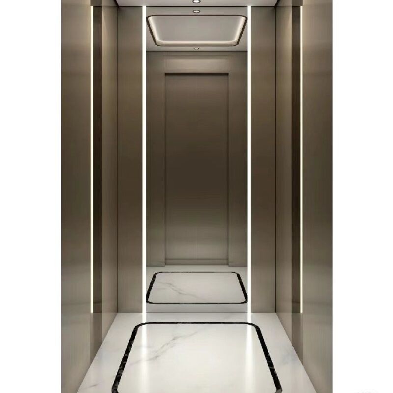 Ascenseurs hydrauliques résidentiels à courant alternatif à phase unique avec cylindres de 2,9 m pour le plancher du pont