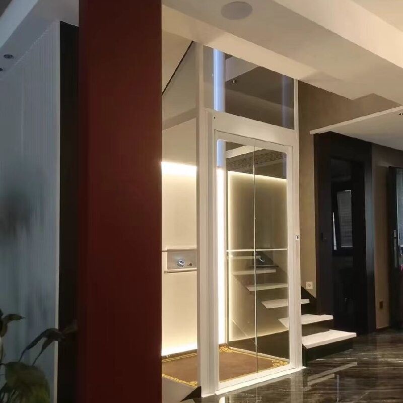 Ascenseur hydraulique maison à courant alternatif à phase unique avec moteur de 4,7 kW pour une puissance de 220 V