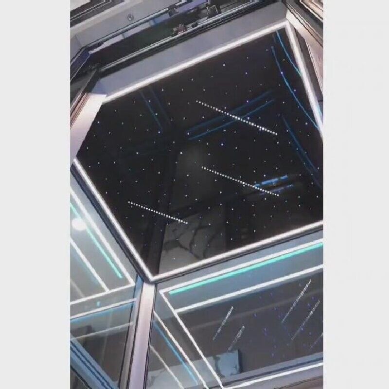 Ascenseur à domicile à traction pittoresque VVVF contrôle Ascenseur à cabine sans équipement SS 1 an de garantie