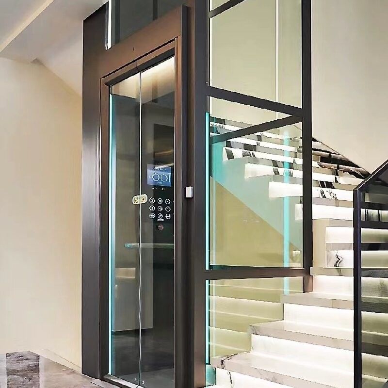 Ascenseur de traction résidentiel de capacité de 400 kg à 1000 kg