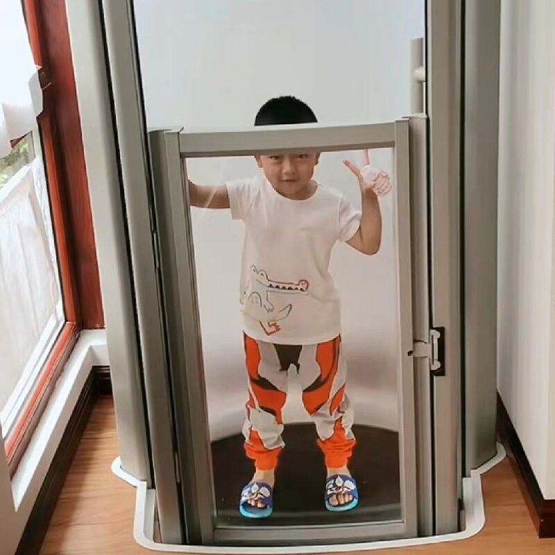 Ascenseur à capsules en verre 400 kg Ascenseur à capsules petites pour la maison avec porte automatique