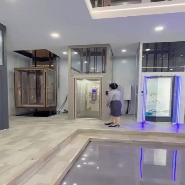 Ascenseur compact pour les clients soucieux de l'espace