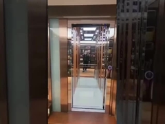 Ascenseur domestique à câble de traction en acier inoxydable fonctionnant sans heurts 0,6 M/S